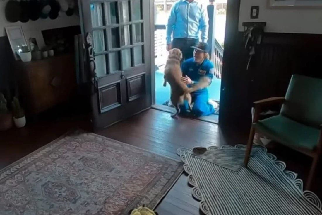 Pet Sadie reencontra a astronauta Christina Koch