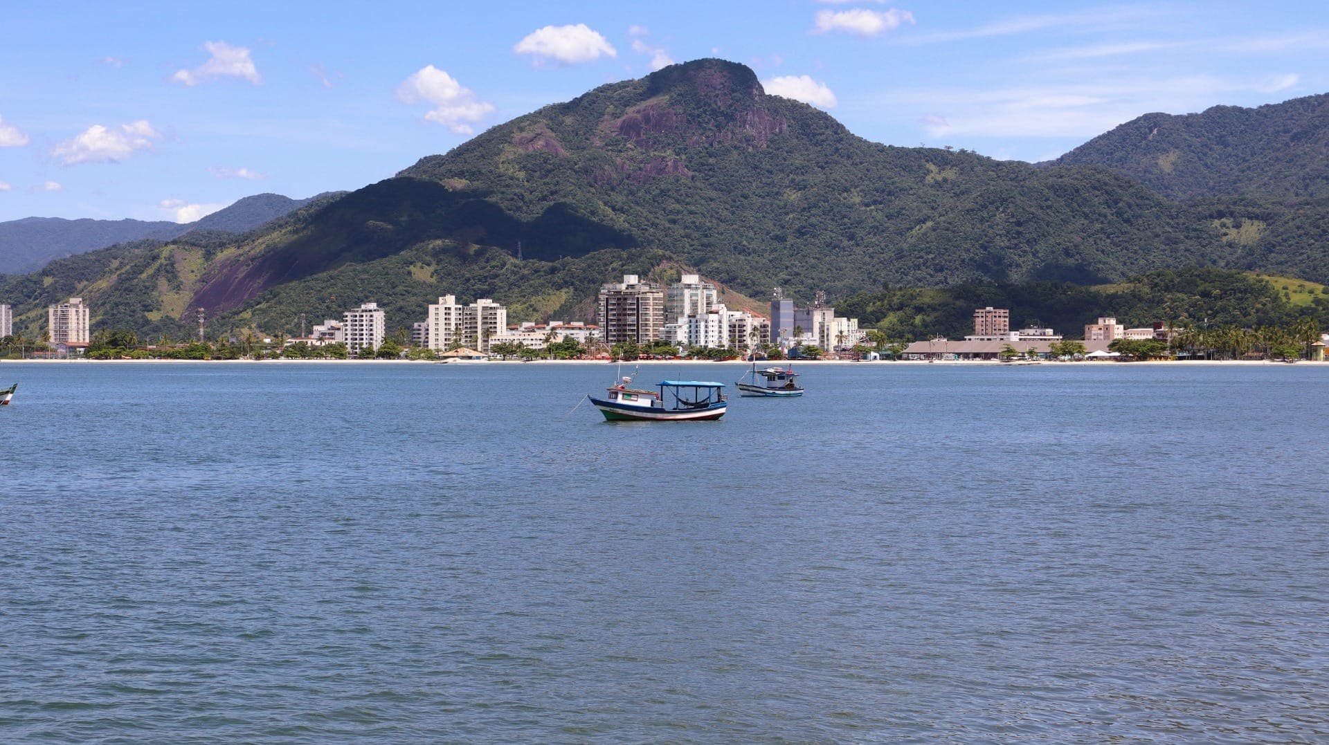 Caraguá contra a dengue