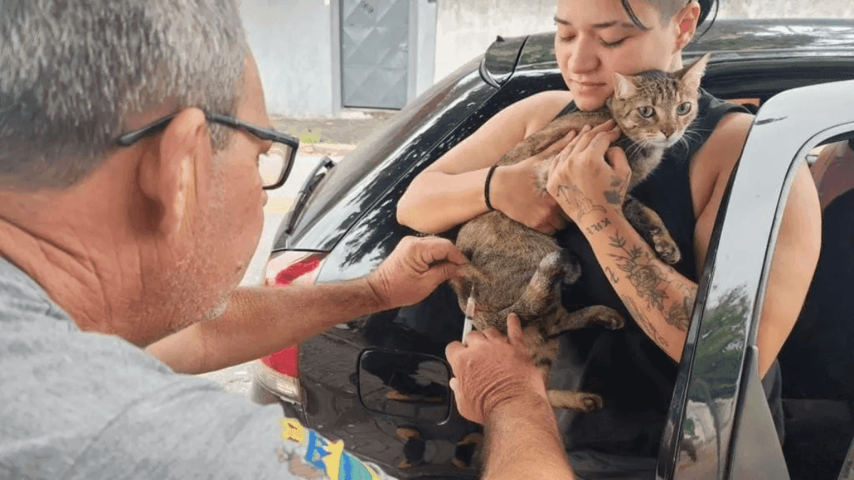 Vacinação antirrábica