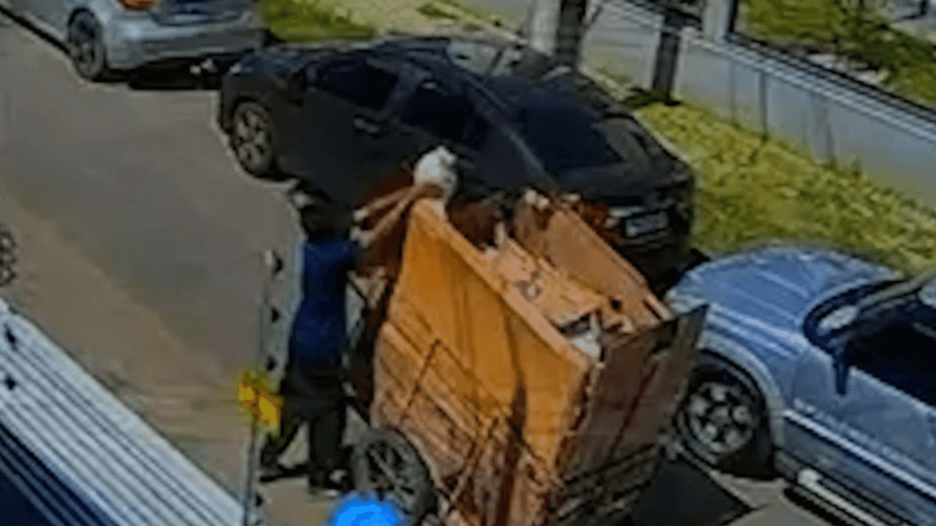 Catador de recicláveis leva cachorra  