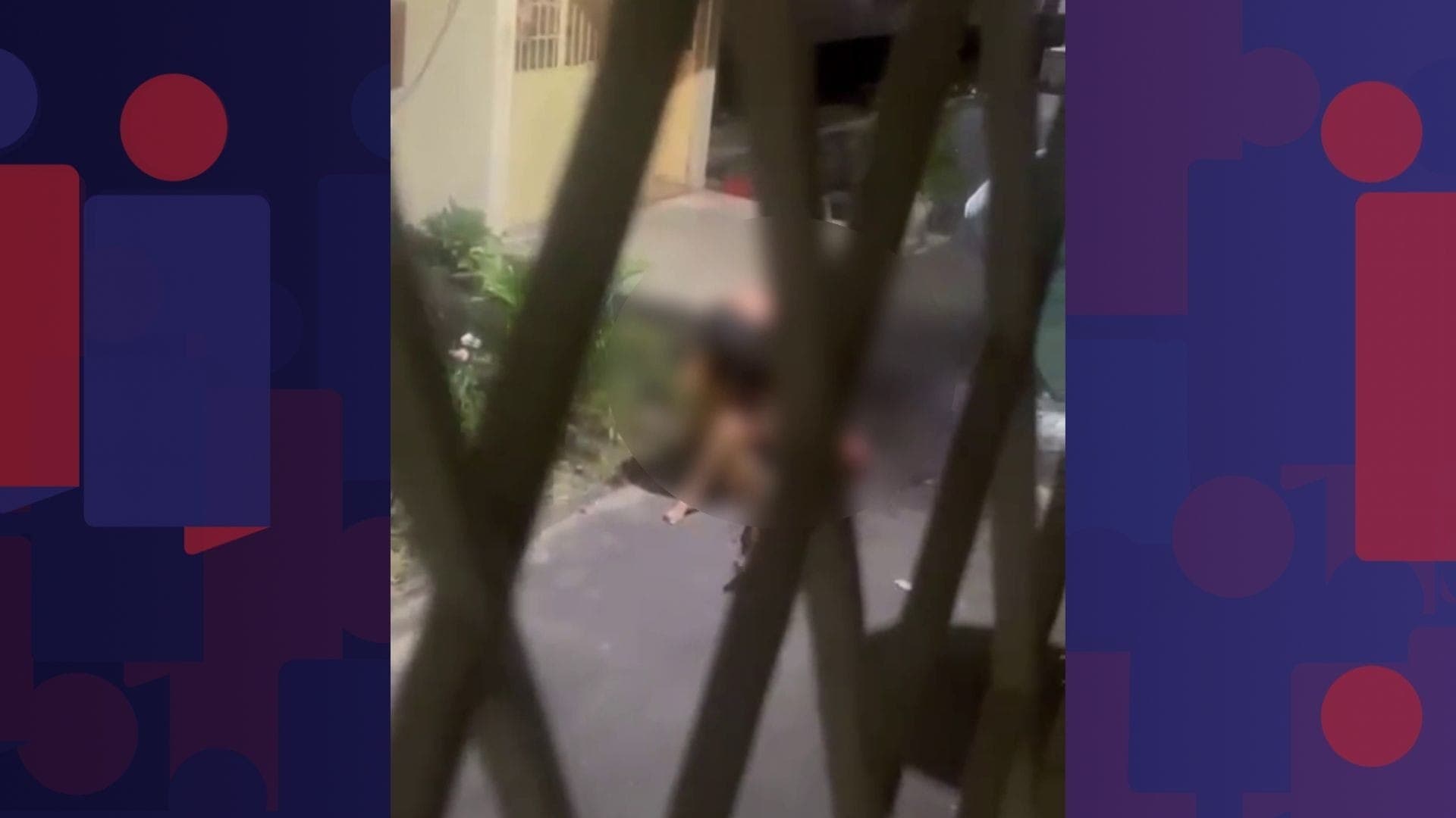 Mulher é atacada por pitbull em Ramos