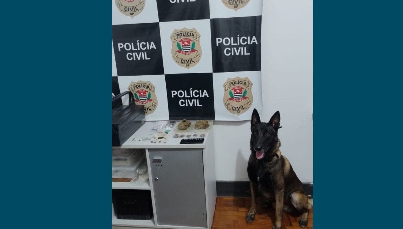Operação foi nesta segunda-feira