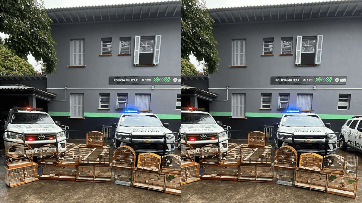 Polícia Ambiental apreende aves em São José dos Campos