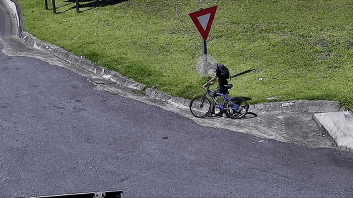 Câmeras da Rodovia dos Tamoios 