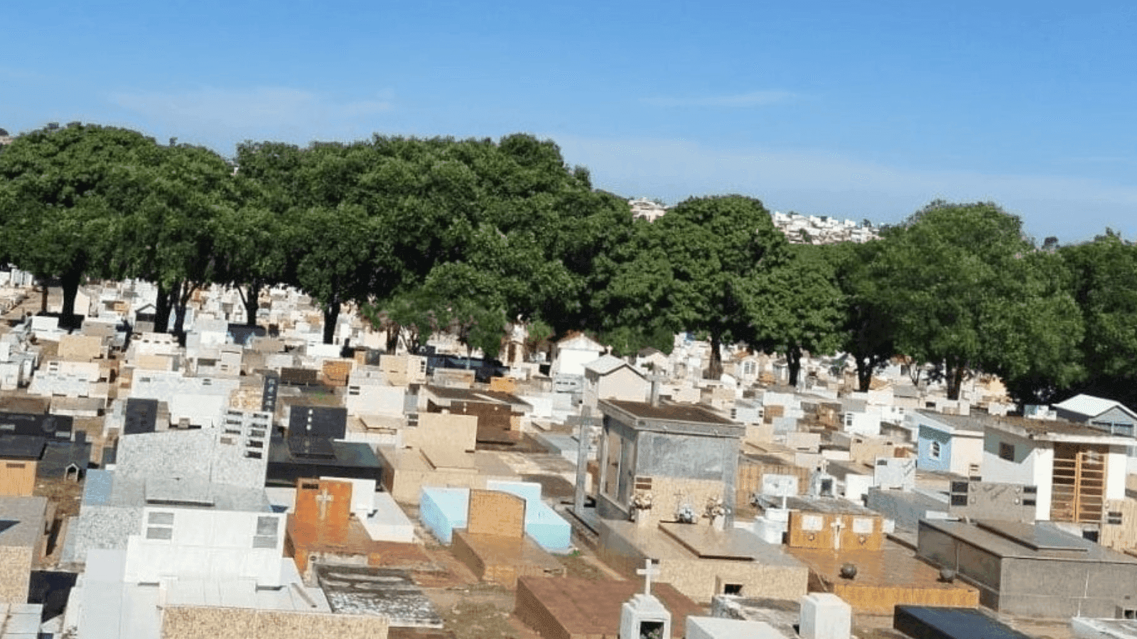 A orientação é sobre limpeza e combate à dengue