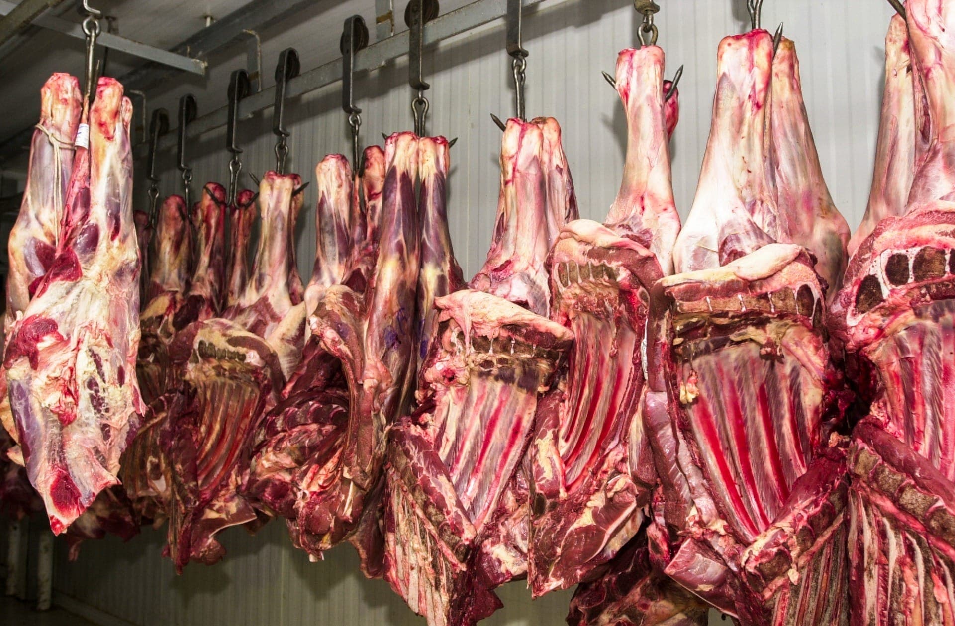 Carne fresca em frigorífico