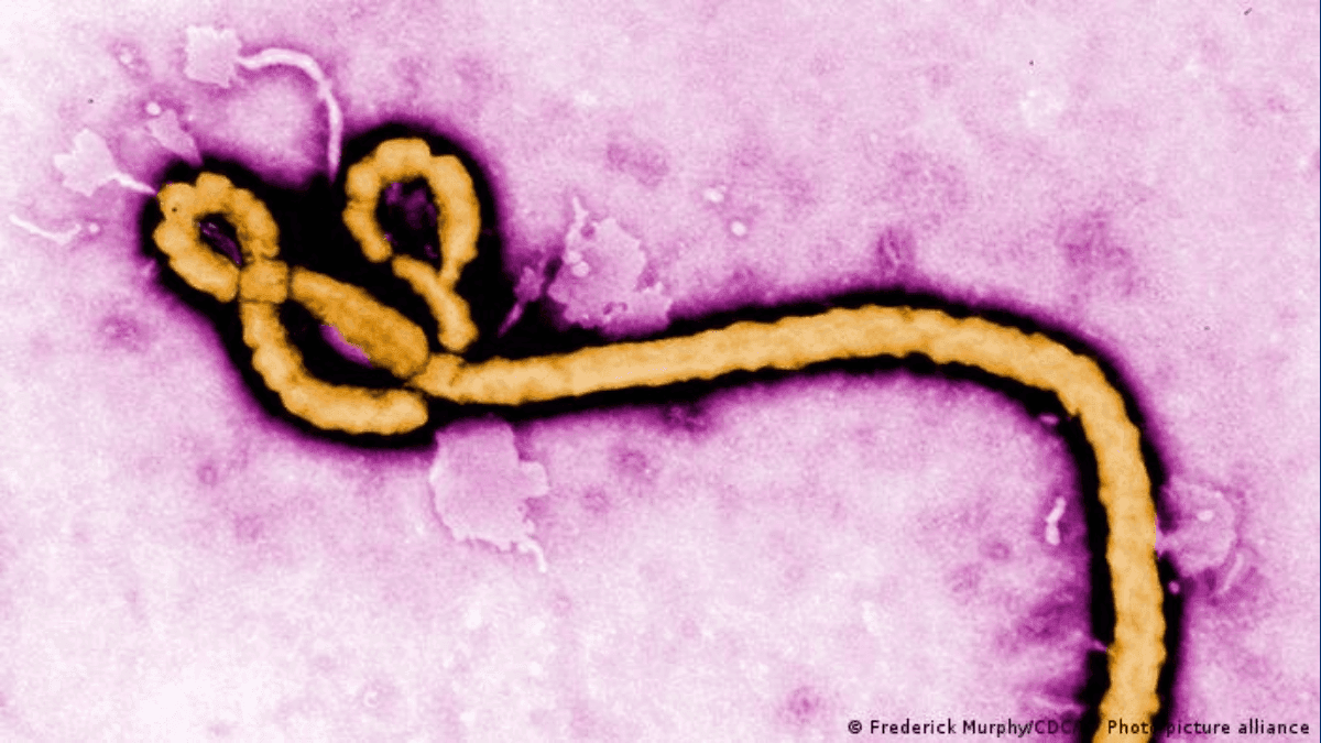 ebola