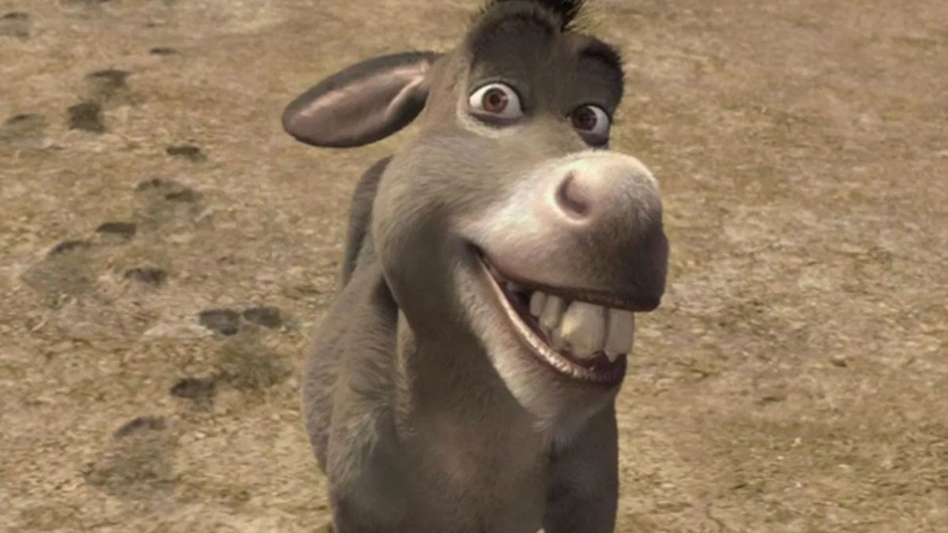 Burro ganhará novo filme