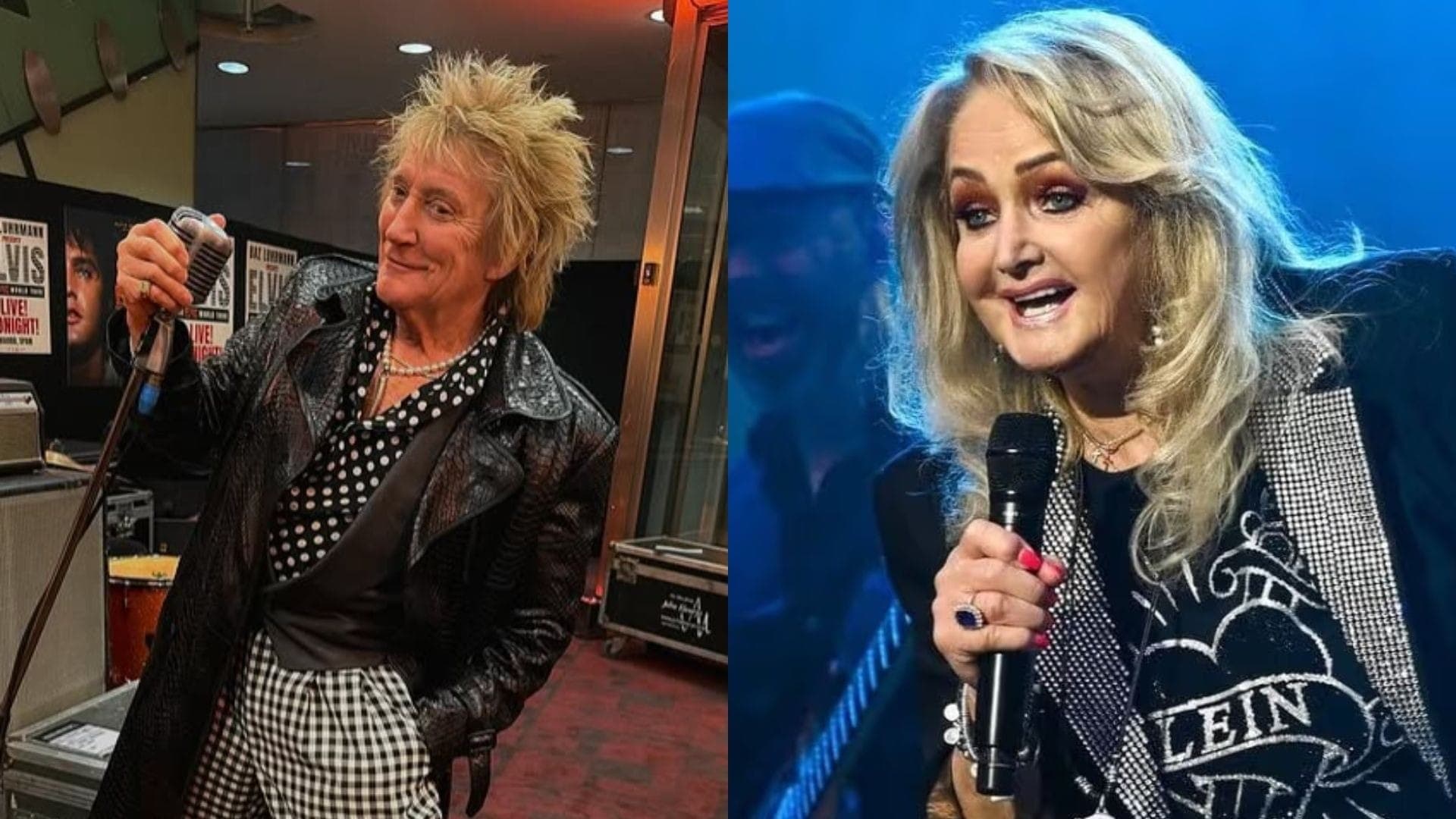 Rod Stewart e Bonnie Tyler foram amigos