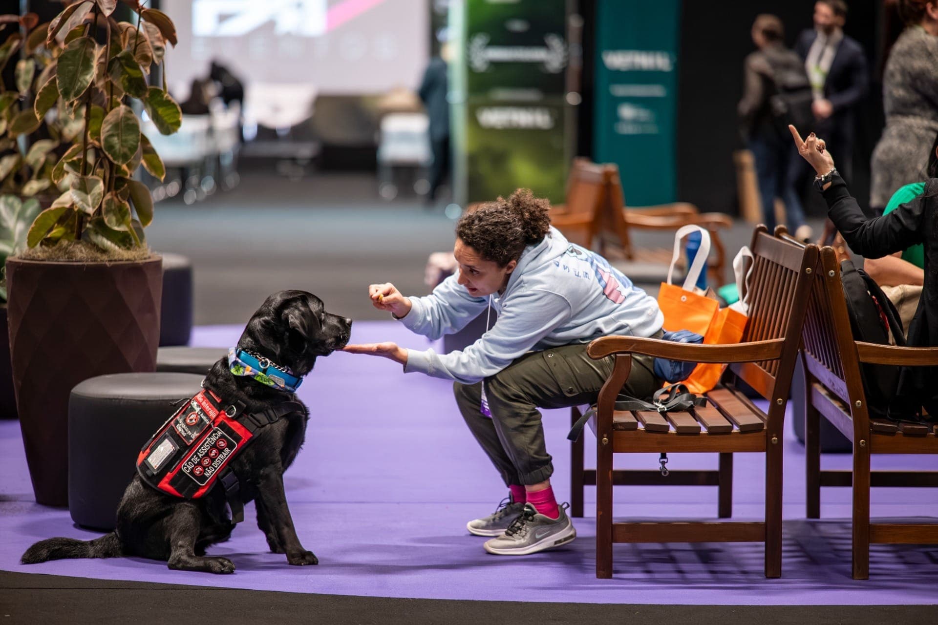 PET South America terá atividade de cinofilia