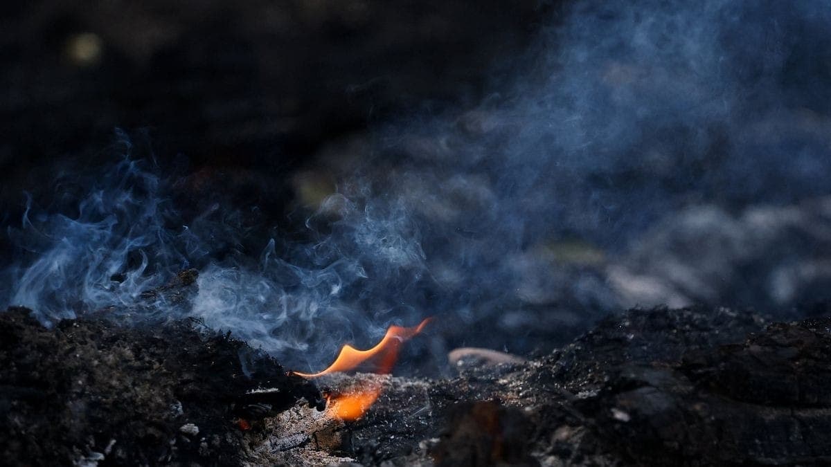 Incêndio florestal em Gironde, na França