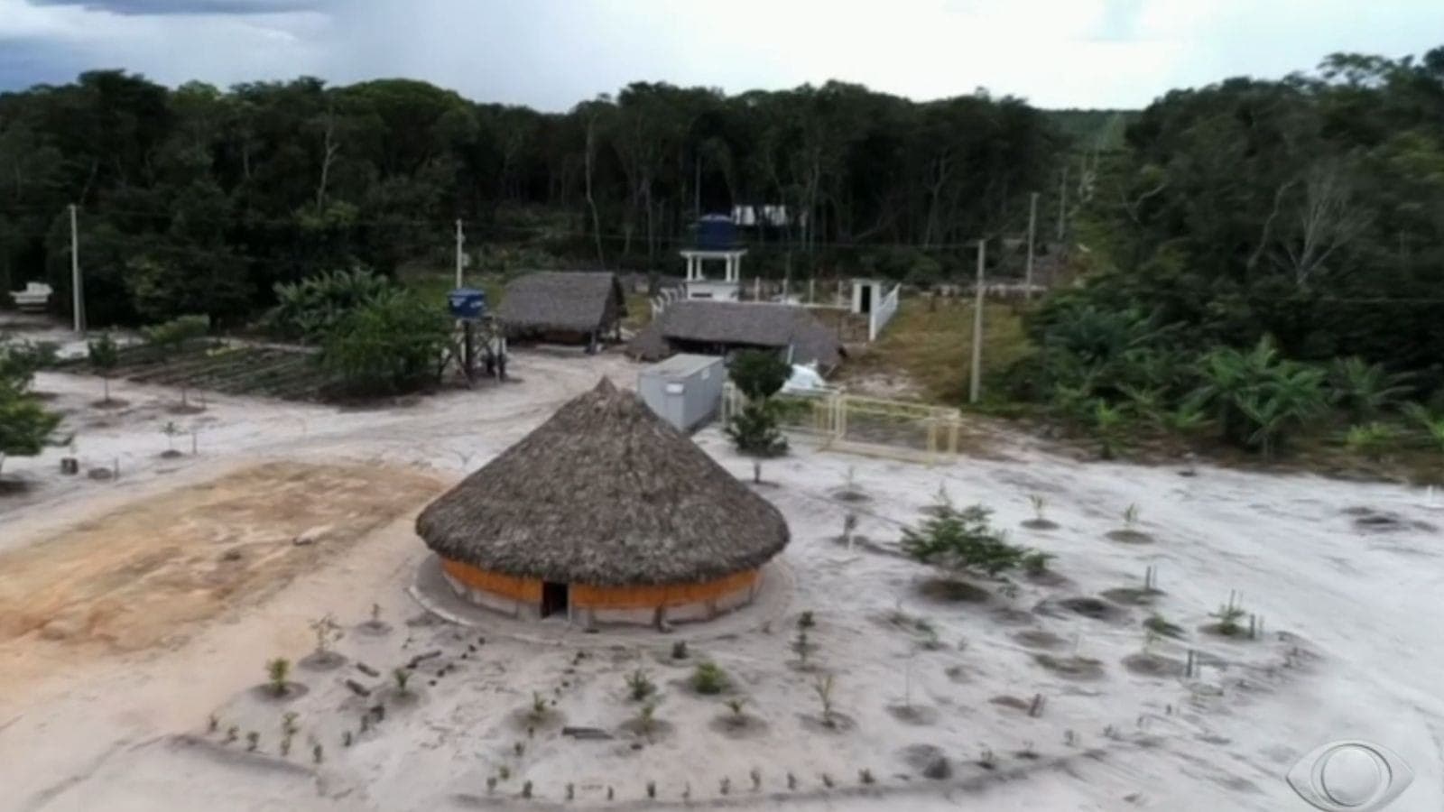 Corpos de crianças Yanomami são devolvidos para rituais funerários tradicionais