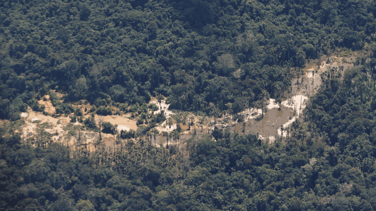 Justiça concede liberdade a garimpeiros presos em Terra Yanomami