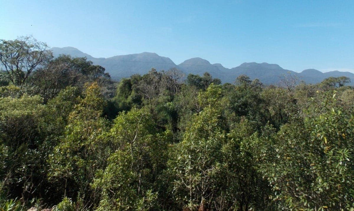 Mata Atlântica