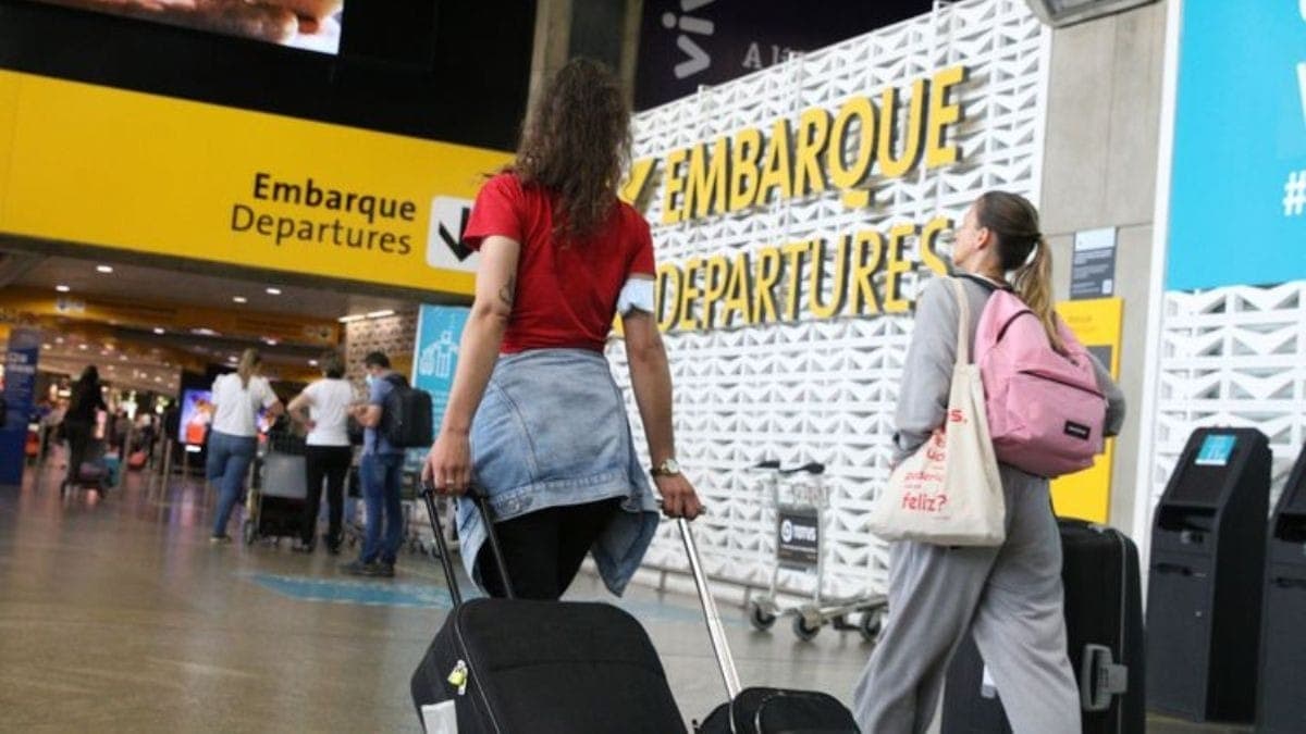 Governo define regras para aumentar segurança no transporte de pets na aviação