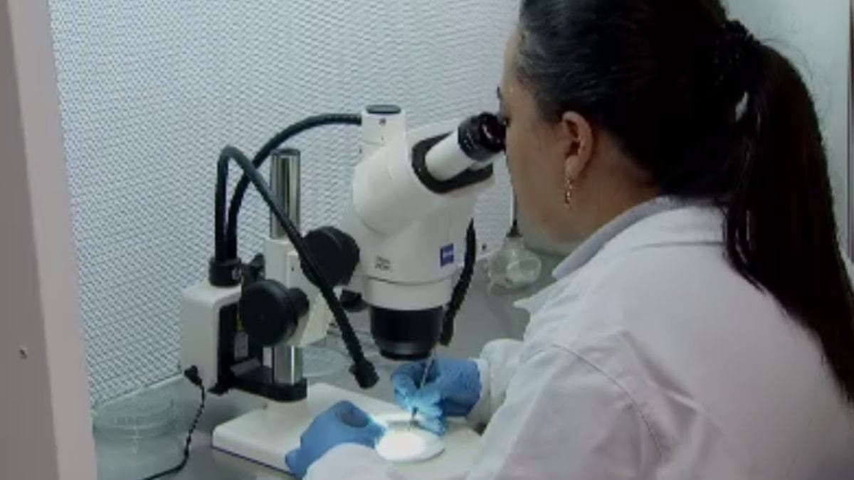 Pesquisa é o foco da Embrapa