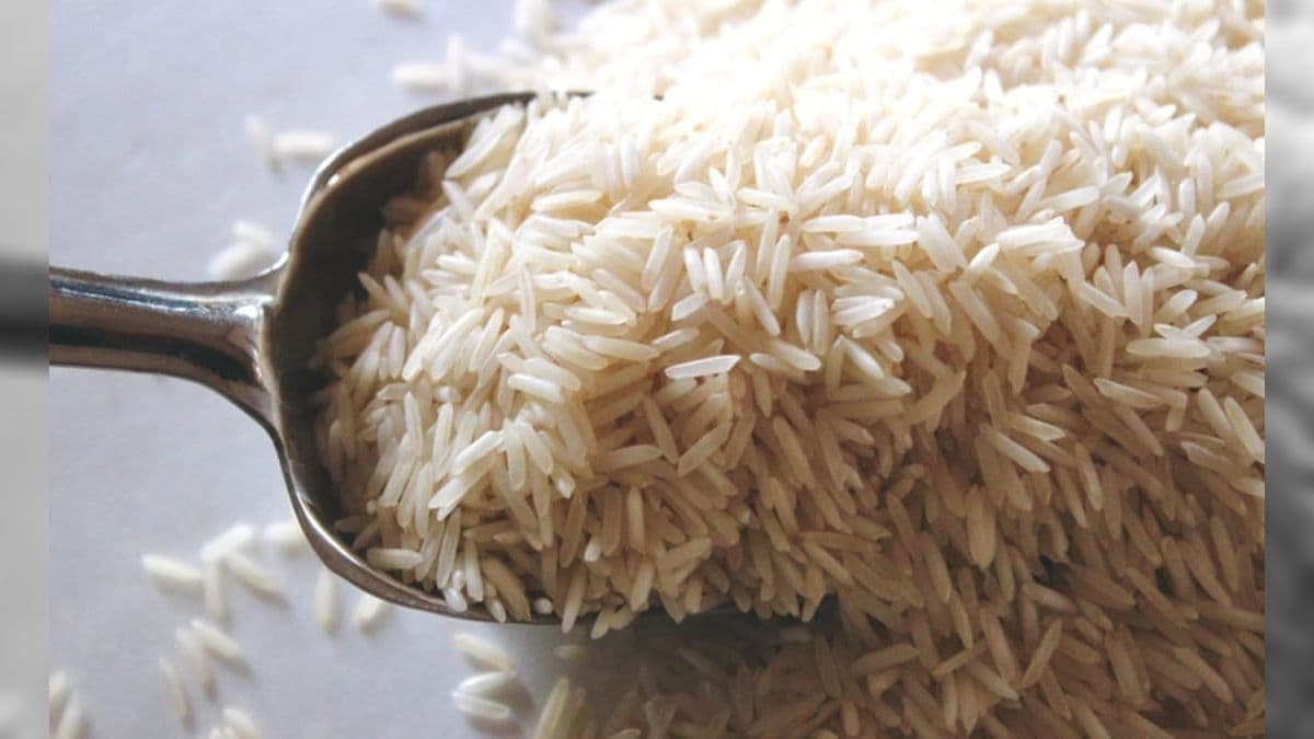 Abertura do mercado de arroz para o Quênia 