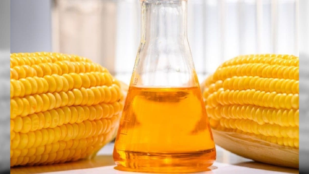 Uso de milho como matéria-prima do etanol cresce no Brasil
