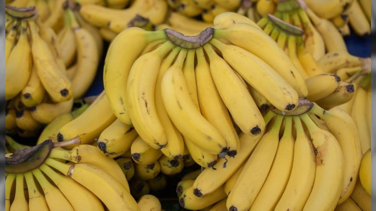 Bananas