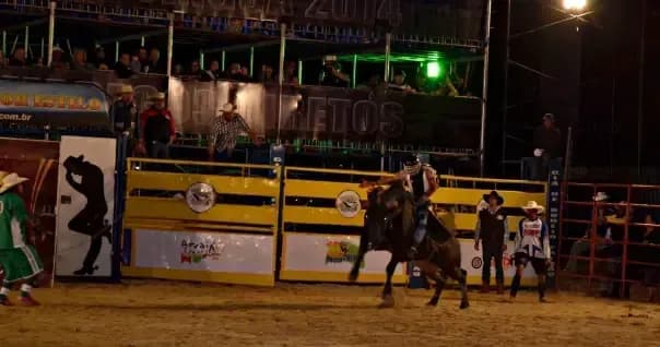  Justiça do Rio suspende realização de vaquejadas e rodeios