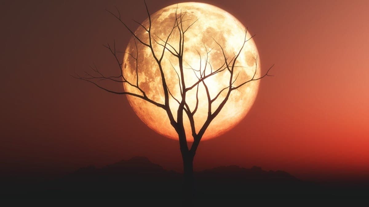 Entenda o que a sua Lilith diz sobre você