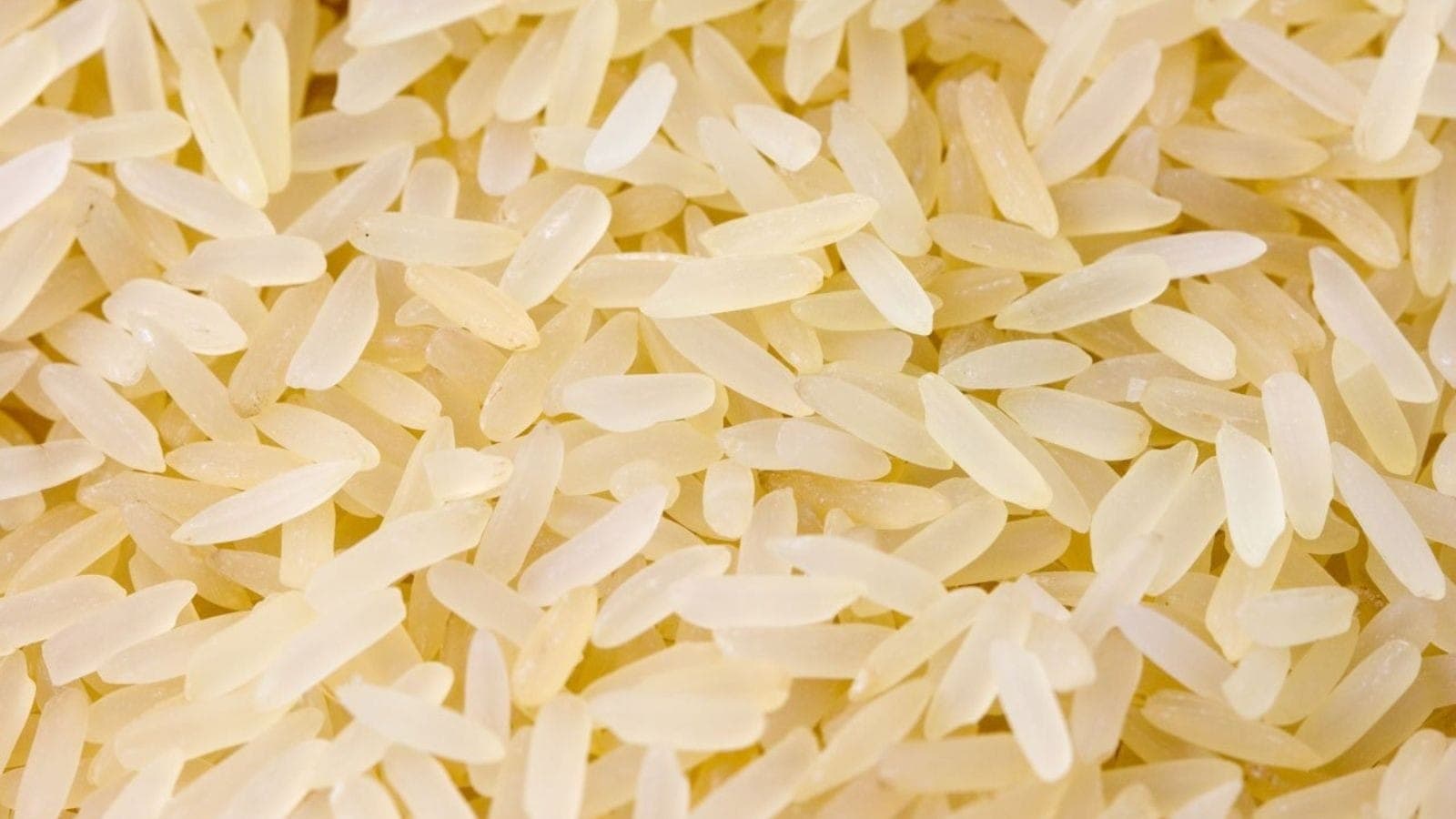 Leilão de arroz foi anulado