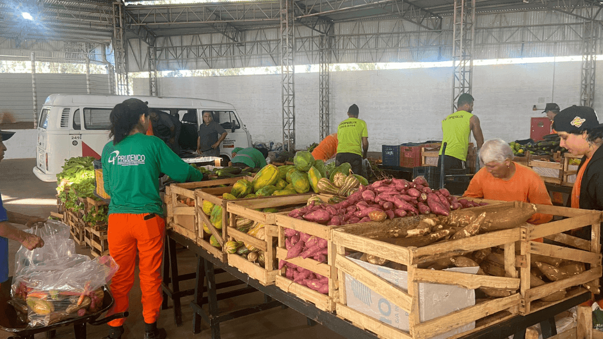 Foram distribuídas 365 cestas às entidades 