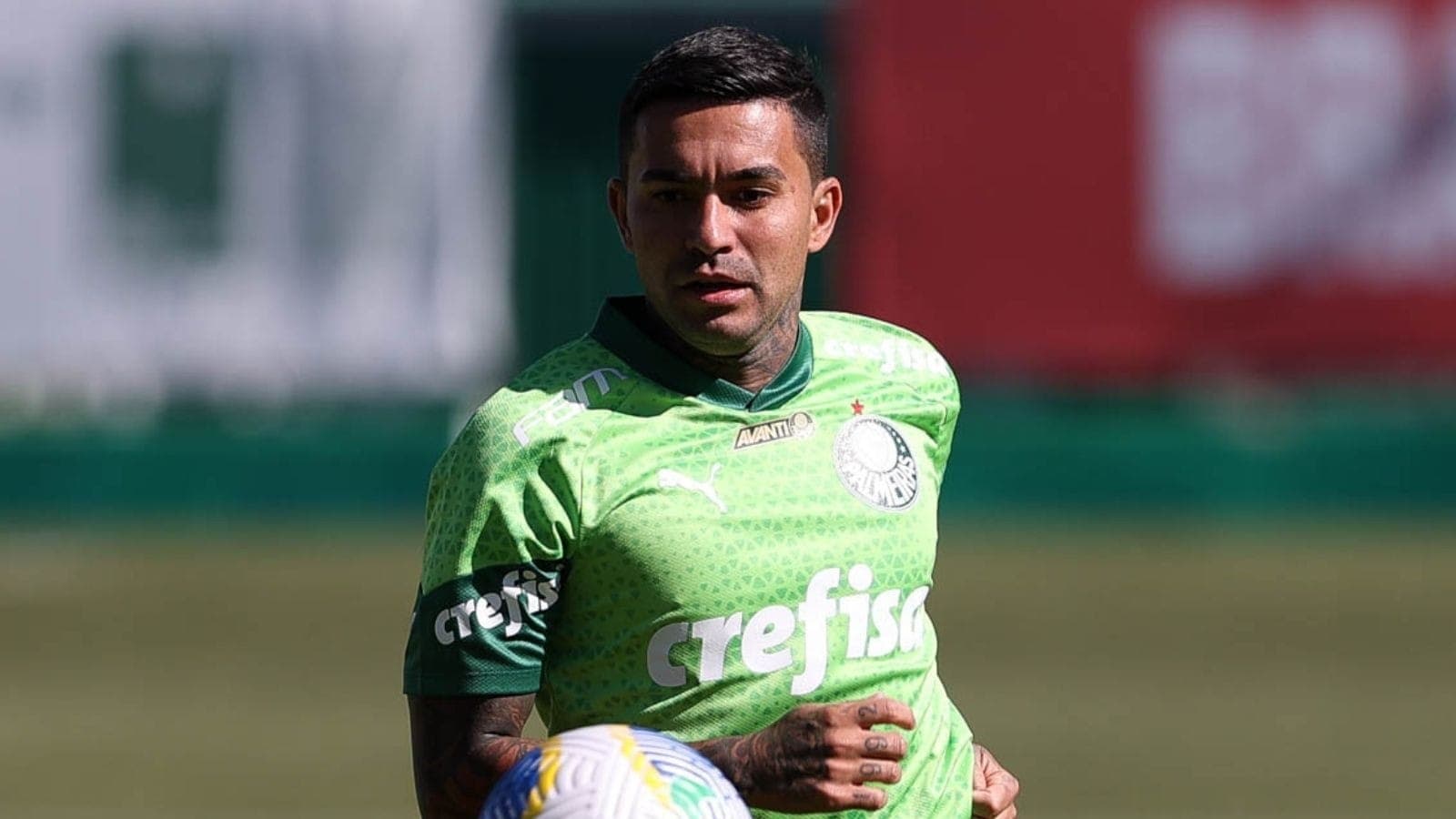 Dudu garante permanência no Palmeiras