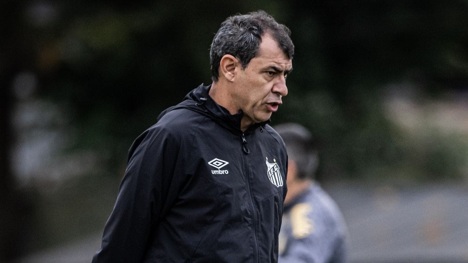 Fábio Carille, ex-técnico do Santos