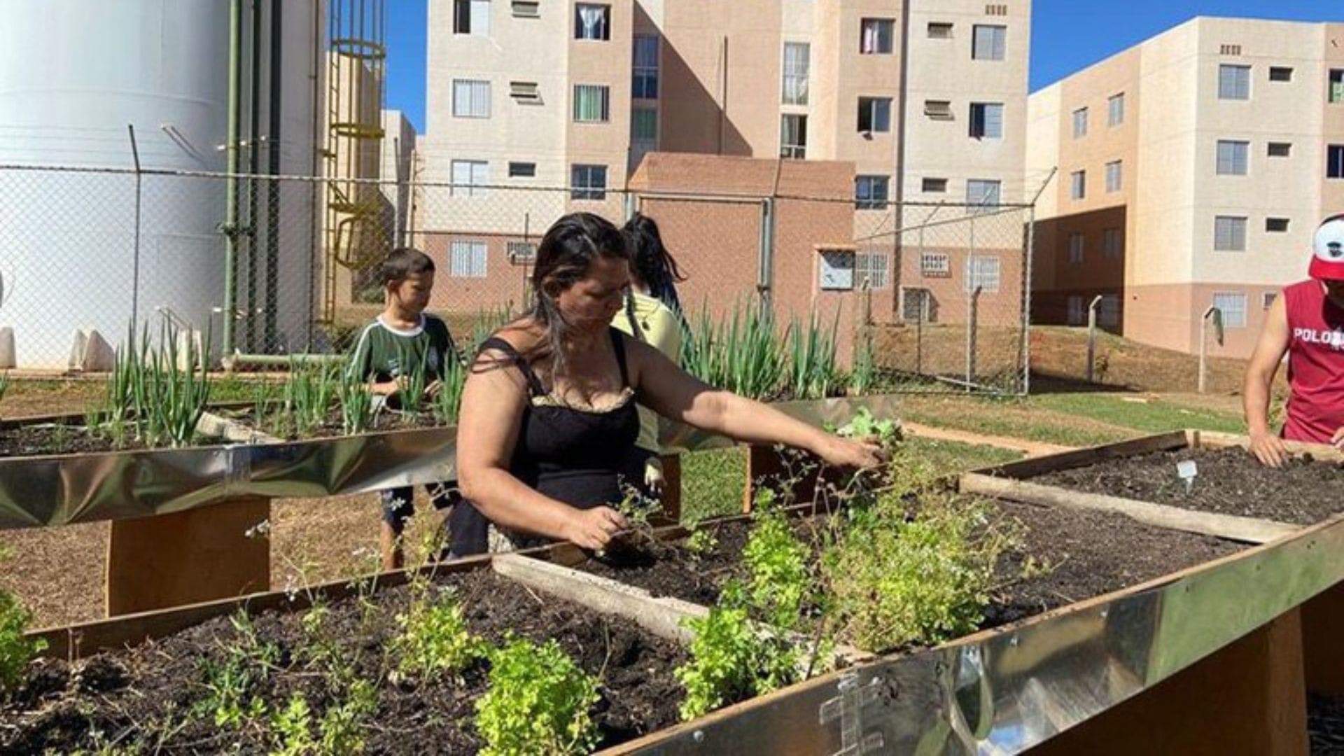 Agricultura urbana e periurbana