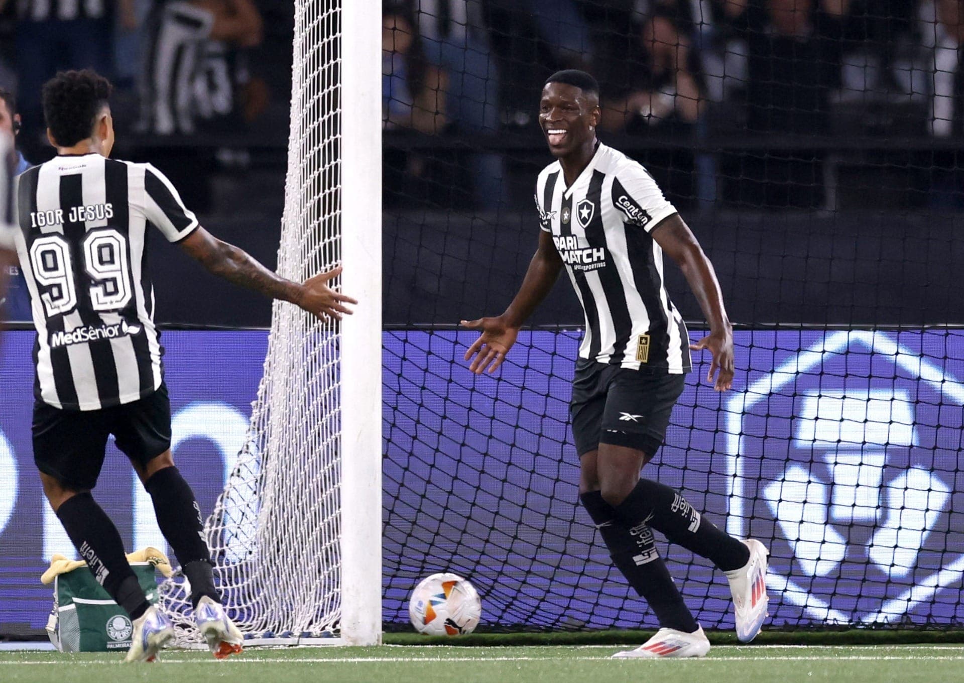 Botafogo comemora gol contra o Palmeiras