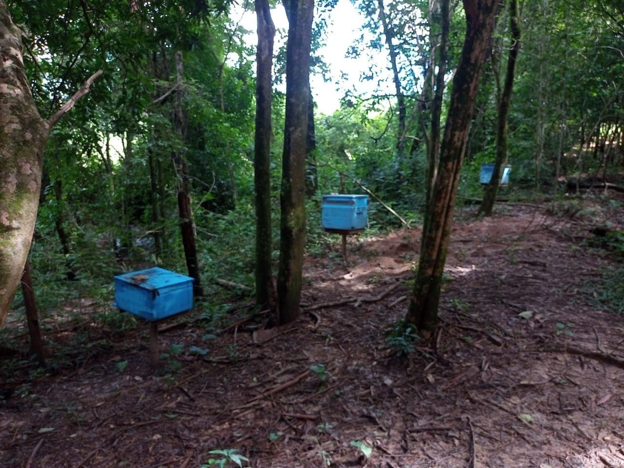 Área de pesquisa pública está abandonada
