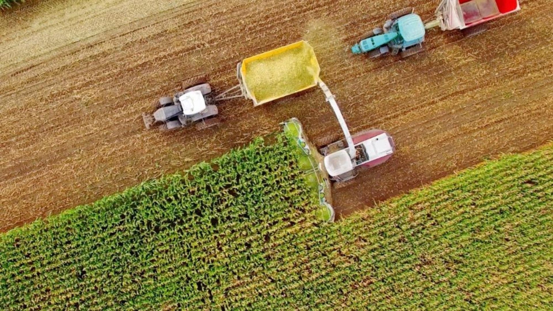 Agronegócio paulista tem superávit