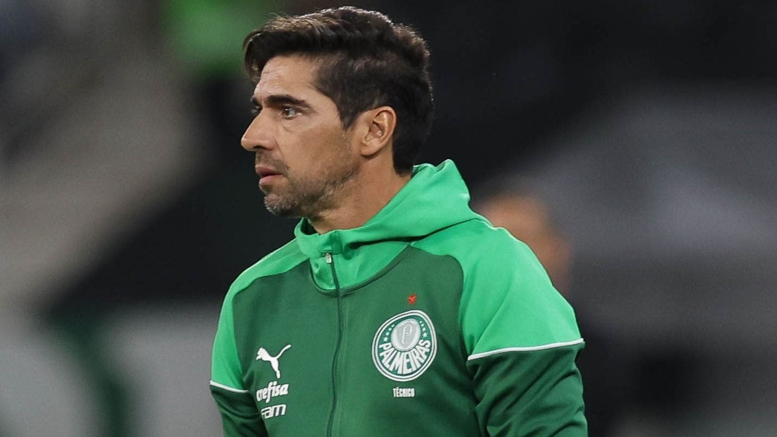 Abel Ferreira, durante jogo do Palmeiras