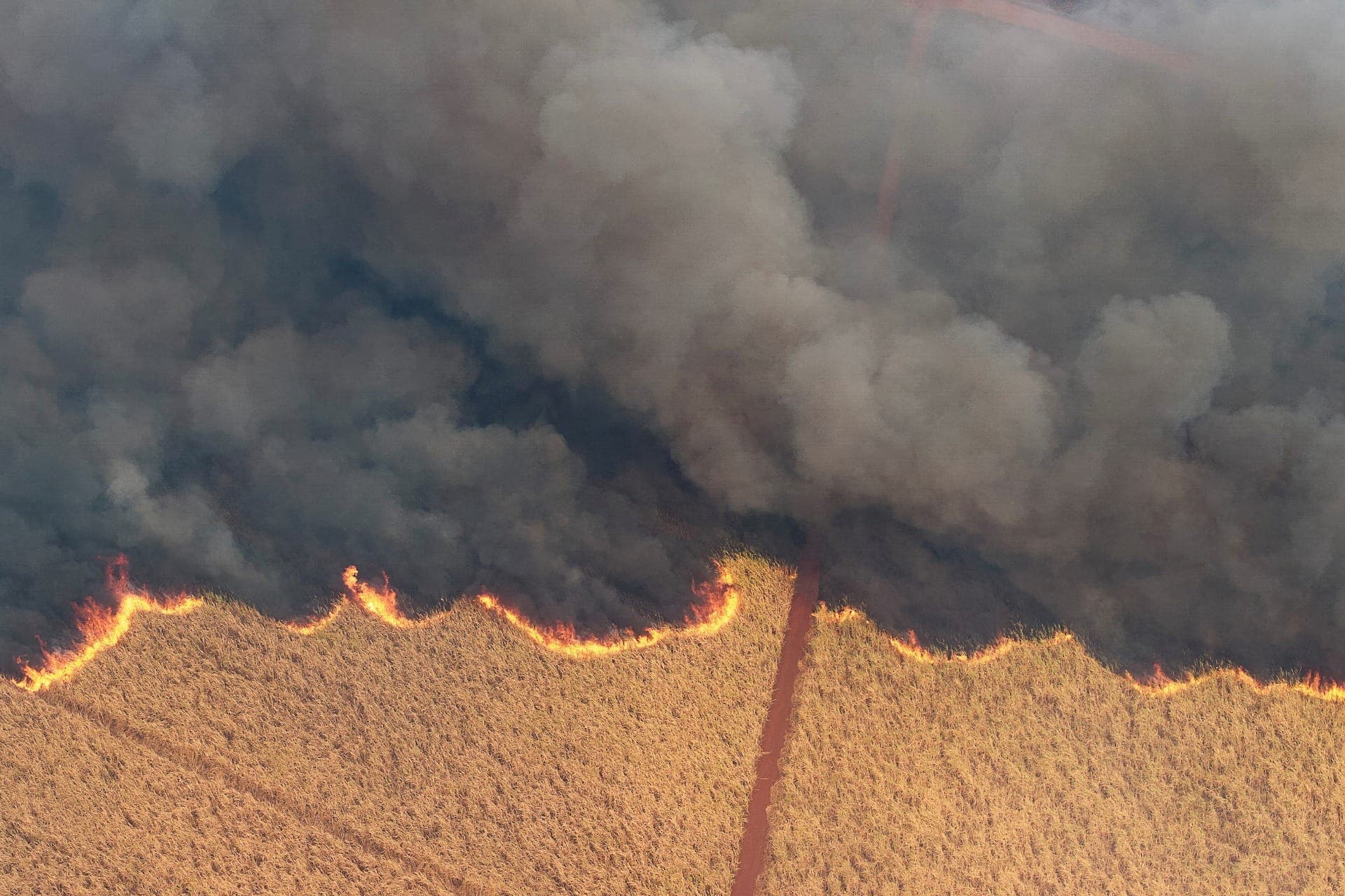 Incêndio no interior de São Paulo