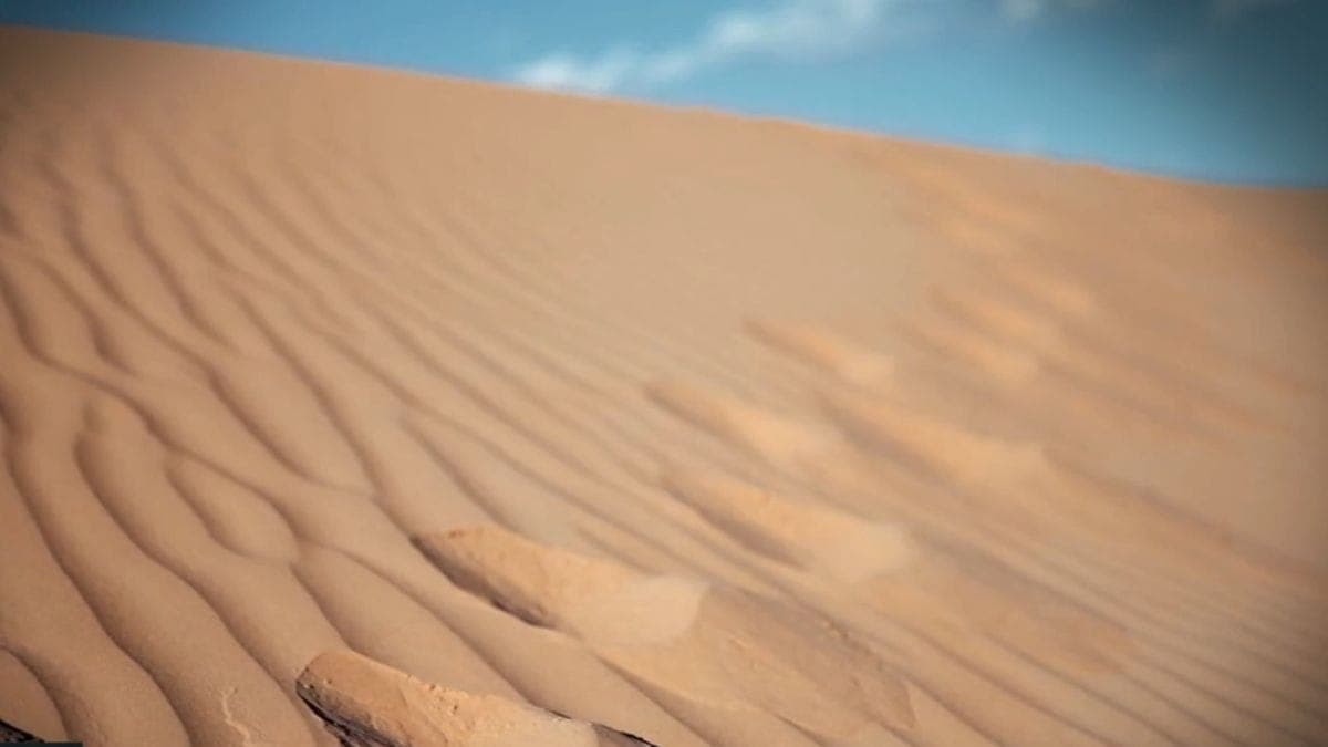 A terra degradada não pode mais sustentar diversos ecossistemas ou ajudar a regular o clima