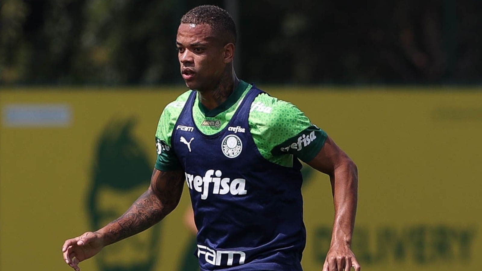 Caio Paulista