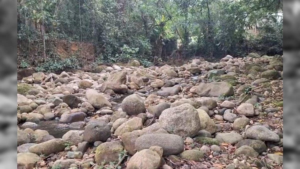 Rio em Guapimirim 