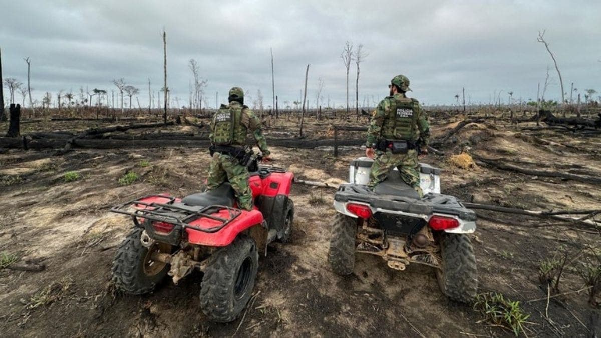 Operação da PF contra queimadas na Amazônia 