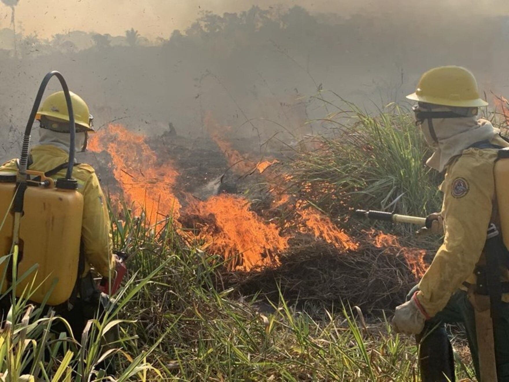 Ibama aponta 5 mil hectares queimados