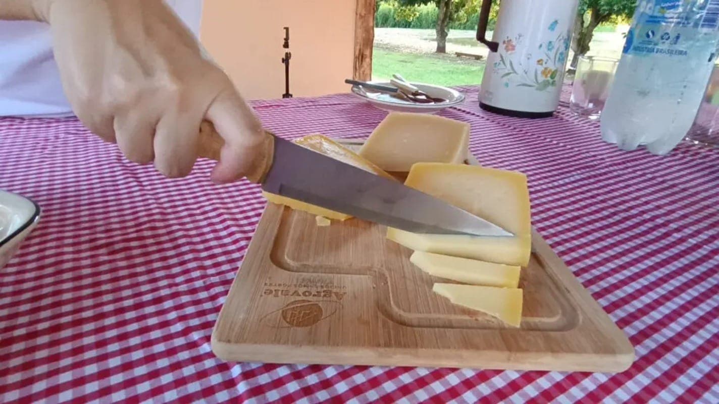 Queijo de Goiás