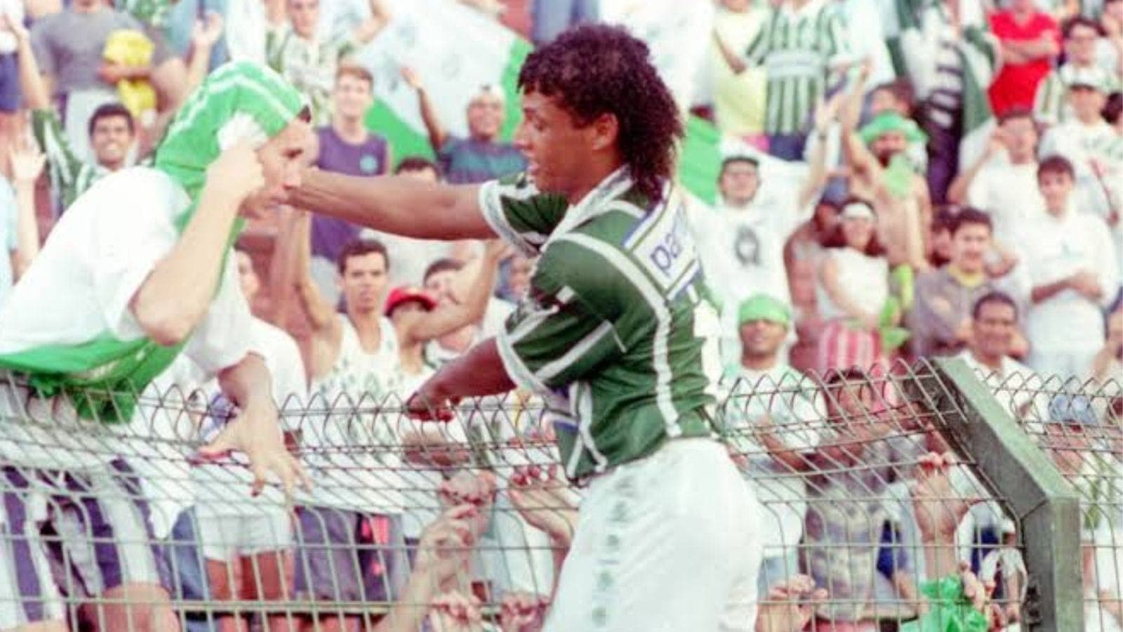 Tonhão, ídolo do Palmeiras