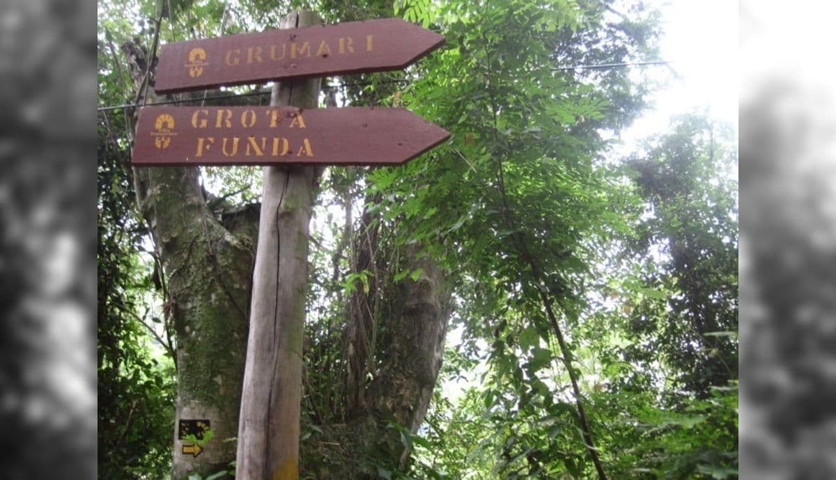 A Fundação Geo-Rio mobiliza uma equipe para a limpeza de um trecho da Serra da Grota Funda