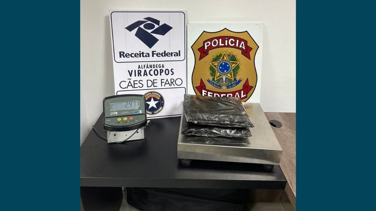 Droga apreendida
