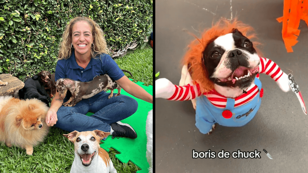Fabiana Gubert, médica veterinária e dona do local