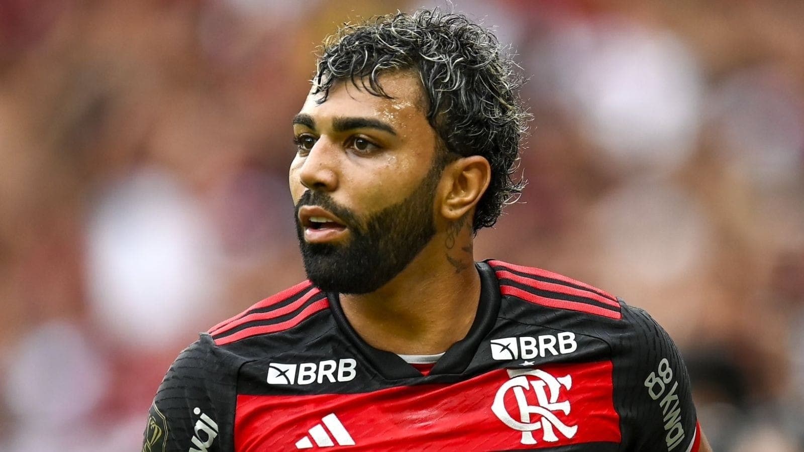 "Gabigol não vale a pena", dispara Cappellanes