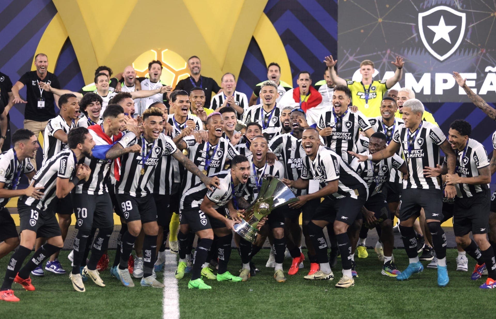 Botafogo é campeão brasileiro