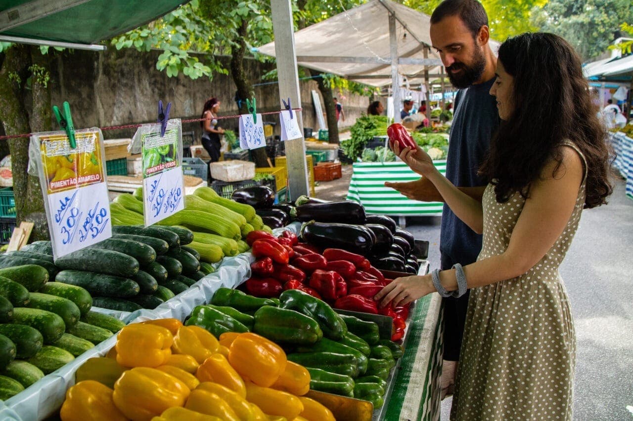 Orçamento da Agricultura para 2025 preocupa 