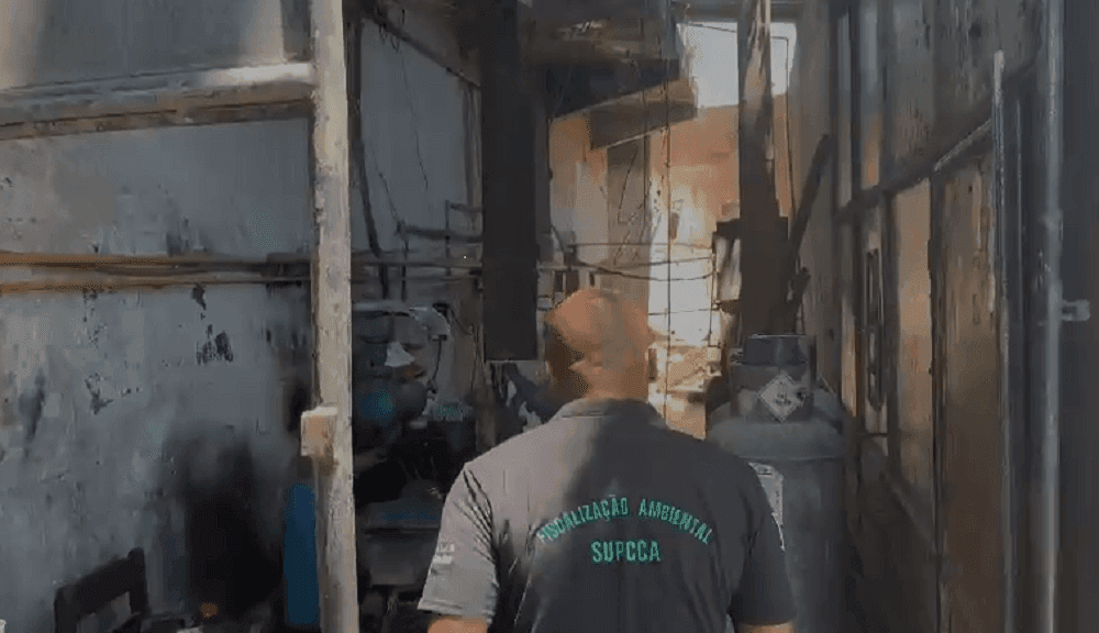Fábrica de gelo clandestina foi interditada