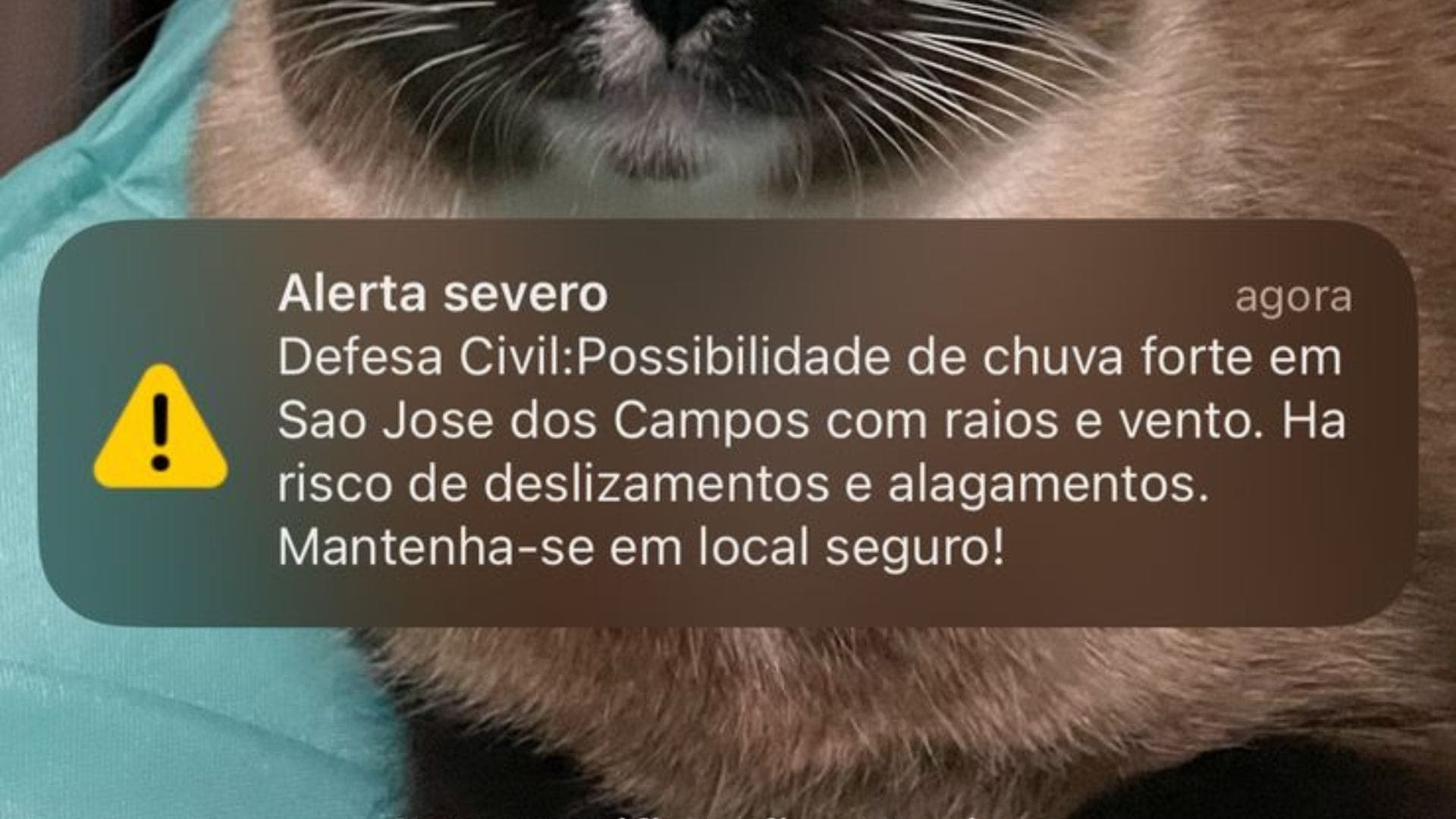 Alerta Defesa Civil SMS